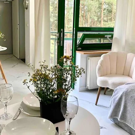 Apartment Mirror Serock