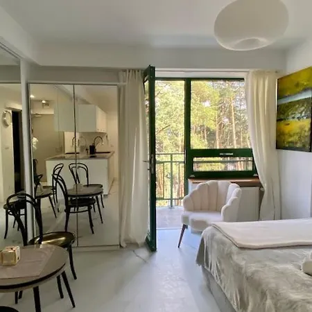 Mirror Apartment Serock