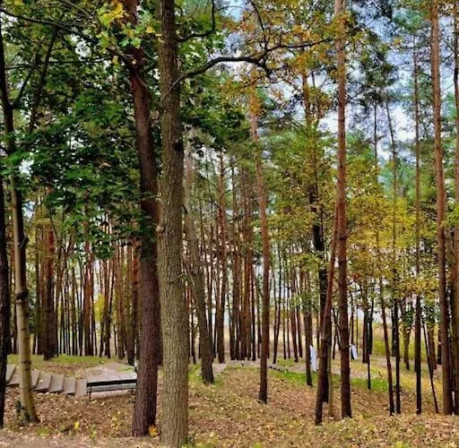 Appartement Mirror *